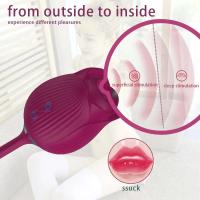 Lamiendo Rose-vibrador estimulador del clítoris Oral NippleThrusting consolador 2 en 1 juguete para mujeres productos sexuales para adultos - details 8