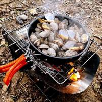 Estufa de cocina plegable portátil para exteriores, de madera para acampar, a prueba de viento, parrilla para barbacoa de montaña y mochilero - details 1
