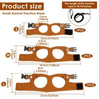 Conjunto de Correa y Lazo de Dragón de Barba de Cuero Suave Ajustable para Reptiles 3Pcs - details 1