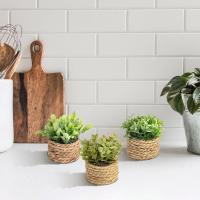 Plantas Artificiales de Eucalipto Pila de Césped Tejida de 11cm Material PE Decoración del Hogar - details 7