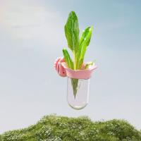 Botella hidropónica transparente con forma de flor de loro, dispositivo de alimentación de loro ecológico reutilizable, tarro de arreglo floral sin BPA - details 4