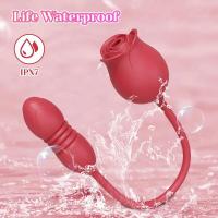 Consolador sexual de succión de rosas para mujer, vibrador Anal 3 en 1 de empuje para punto G, estimulador femenino, huevo vibrador, juguetes para adultos - details 4
