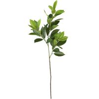 Grandes ramas artificiales de Fagraea, ramas realistas hechas a mano de Pachira, elegante, tacto Real, Ilex Chinensis Artificial - details 5