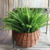 Planta Artificial de seda para decoración del hogar, Helecho Boston, 10 piezas, colgante, verde falso - details 2