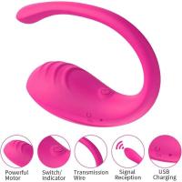 Leten Vibrador Vaginal Controlado por APP Estimulador Táctil para Parejas - details 11