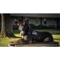 Arnés Táctico Grande para Perros Militar Apto para Shepherd Alemanes y Malinos Con Cinturón y Llavero Accesorios para Entrenamiento de Mascotas - details 0