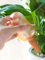 Globo de agua de plástico soplado a mano con forma de pájaro, autorriego automático, bebedero de plantas wer de alta calidad - details 5