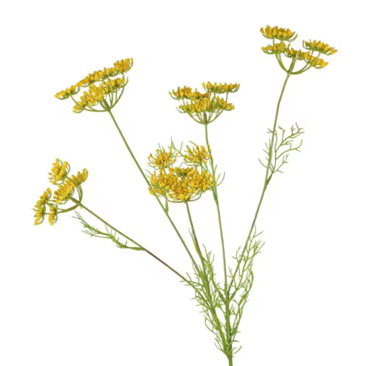 Rama de flores artificiales de encaje de 5 cabezas, elegantes flores falsas de seda de plástico, hermosas plantas verdes simuladas, decoración para el hogar y la Oficina - 1