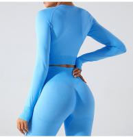 Nueva camiseta deportiva sin costuras de manga larga para mujer, Top de Yoga de secado rápido, ropa ajustada para correr y Fitness - details 26