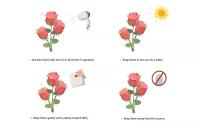 rosas de seda flores