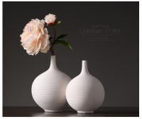 Jarrón de cerámica blanco nórdico, circular de boca fina, arreglo de sala de estar, decoración de flores secas, arte estilo wabi sabi - details 0