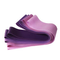 Banderas de Resistencia para Yoga y Deportes 5 Niveles de Fitness para Hogar y Gimnasio - details 8