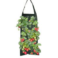 Macetero colgante de fresa, bolsas para macetero de tomate de jardín al revés, bolsas colgantes para cultivo de plantas de fresa, mango colgante resistente, tela de aireación engrosada para tomates, pimientos picantes y verduras - details 7