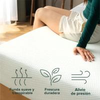 Zinus 90x190 cm - Altura 15 cm - Colchón de espuma viscoelástica - Rigididad media - Certificado OEKO-TEX - Colchón de té verde - details 5