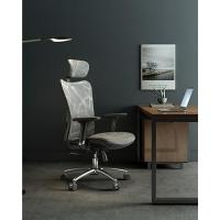 Silla de Oficina Ergonómica Resalto Alto, Transpirable, Silla de Malla con Apoyabrazos 3D y Soporte Lumbar Ajustable (Gris) - details 2