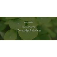 SKIN1004 Suero facial en ampolla de Centella asiática de Madagascar 3.38 fl.oz(100ml) - details 11