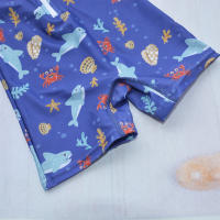 EezKoala Traje De Baño De Un Pie Para Niños Y Niñas Deporte Rápido Secado Solución Para Natación Y Surf Talla M/L/XL Protección Solar UPF50+ - details 1