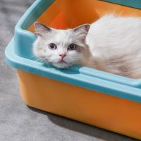 Caja de arena para gatos grande súper grande, desodorante de inodoro para gatos completo y semicerrado y productos para gatos pequeños a prueba de arena - details 3