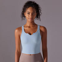 Sujetador de Yoga sin Costuras Alto Impacto Deportivo, Top de Cultivo A Prueba de Golpes, Secado Rápido, Ideal para Ciclismo y Gimnasio - details 12