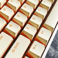 PBT Keycap 104 Keys OEM Profile Dual Color Injection Molding For Cherry MX Switches nical Keyboard - details 2