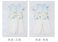Hanfu Primavera/Verano Estilo infantil Cultura tradicional china Étnico Tang Niños Elegantes Niñas Guzheng Danza Actuación - details 13