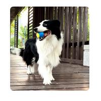 Pelota resistente a mordeduras molares para perros, pelota de entrenamiento para morder, juguete con sonido tpr - details 8