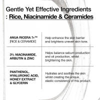 Anua Ceramic Rice Barrier Sérum Hidratante, Iluminación, Sin Aroma, Malestar - details 3