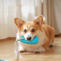 Zapatillas con ventosa para perros TPR, juguetes elásticos resistentes a mordeduras para mascotas, juguete para rechinar los dientes, pelota interactiva, juguete para masticar para perros, limpieza de dientes - details 1
