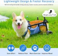 Silla de Ruedas Ajustable para Perros Pequeños Diseño Ligero en Aluminio y Polipropileno - details 5