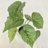 Boda falsa glicina plantas simuladas impresas en 3D, espalda de tortuga de plástico, hojas de manzana verde de bambú, decoración del hogar - details 9