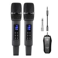Sistema Portátil Inalámbrico UHF, receptor Bluetooth, reverberación profesional para el hogar, bajos altos y bajos - details 0
