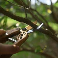 1 juego, acero SK5, hoja bicolor, tijeras de jardinería importadas de Japón, tijeras de podar de desvío, poda resistente, poda manual, herramientas de jardín, poda al aire libre, patrón de madera - details 3