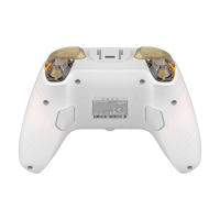 GameSir Cyclone 2 controlador inalámbrico Bluetooth Gamepad con efecto Hall para PC Switch iPhone Android Phone - details 35