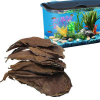 Hojas de olivo naturales de 50 piezas, mejora la calidad del agua y la estabilización, adecuadas para decoraciones de acuario - details 0