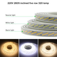 GAHADA Luz de Tira LED Impermeable Flexible 2835 SMD 320Leds/m Enchufe EU Decoración del Hogar - details 1