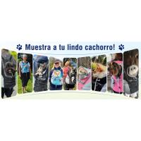 Mochila de transporte para perros
