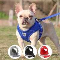 Conjunto de Correa de Arneses Ajustable para Perros Pequeños Collar de Paseo al Aire Libre para Cachorros, Chihuahuas, Pugs - details 0