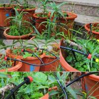 Sistema automático de riego de jardín, herramientas de jardinería doméstica, nebulización de plantas, 30M - details 2