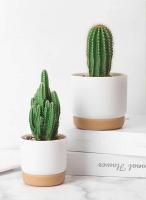 Plástico blanco uso interior, mini macetero floral con agujeros de drenaje jugoso o cactus, para plantas, ETA - details 6