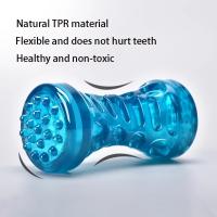 Juguete resistente a mordiscos para mascotas Cepillo de dientes para perros - details 3