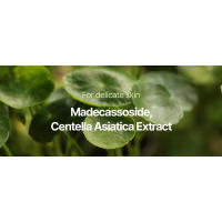 Suero hidratante Pyunkang Yul para un poder hidratante diario potente, revitalización de la piel y cuidado calmante con Centella - details 2