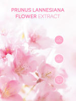 4 unids/bolsa LAIKOU Sakura juegos de cuidado de la piel limpiador Facial crema Facial tóner protector solar reparación hidratante tierno producto para el cuidado del rostro - details 3