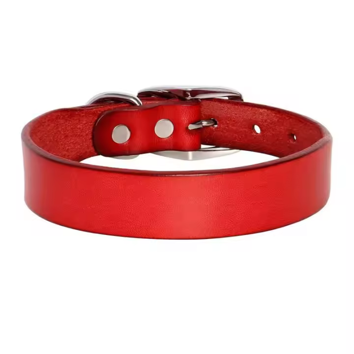 genuino mascotas pequeños, medianos grandes, Collar cuero duradero ustable para perros y cachorros, conjunto de correas XS-XL - 1
