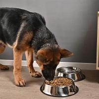 Tazón de Mascotas de Acero Inoxidable A Prueba de Resbalones, Anti-Alimentos, Disco de Agua para Perros Suministros para Mascotas - details 15