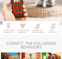 Collar de entrenamiento electrónico para perros, collar de choque impermeable recargable, entrenador de perros con control remoto para perros pequeños y medianos - details 1