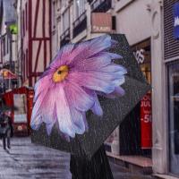Paraguas Compacto y Ligero Diseño Mini para Viajes Parasol Portátil para Lluvia y Sol - details 41