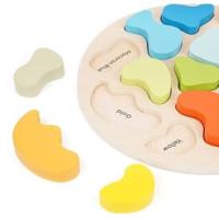 Wooden Color Shape Sorter Puzzle Toy Set