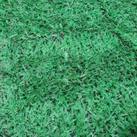 Alfombra de césped de musgo artificial, plantas verdes simuladas, decoración de boda, PAISE, césped de jardín, decoración de suelo - details 8