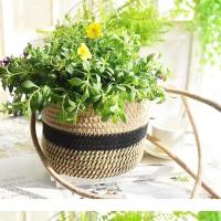 Plantas de jardines interiores, balcones exteriores jugosos, macetas colgantes, cestas tejidas - details 0