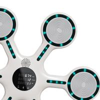 Music Boxing Training Machine Electronic Music Boxing Wall Target Reaction Target for Sanda Taekwondo Response Coordination